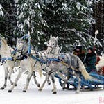 В ГОСТИ К ДЕДУ МОРОЗУ...