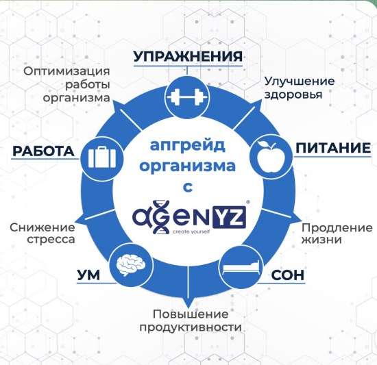 Сертификация Адженис: как это работает