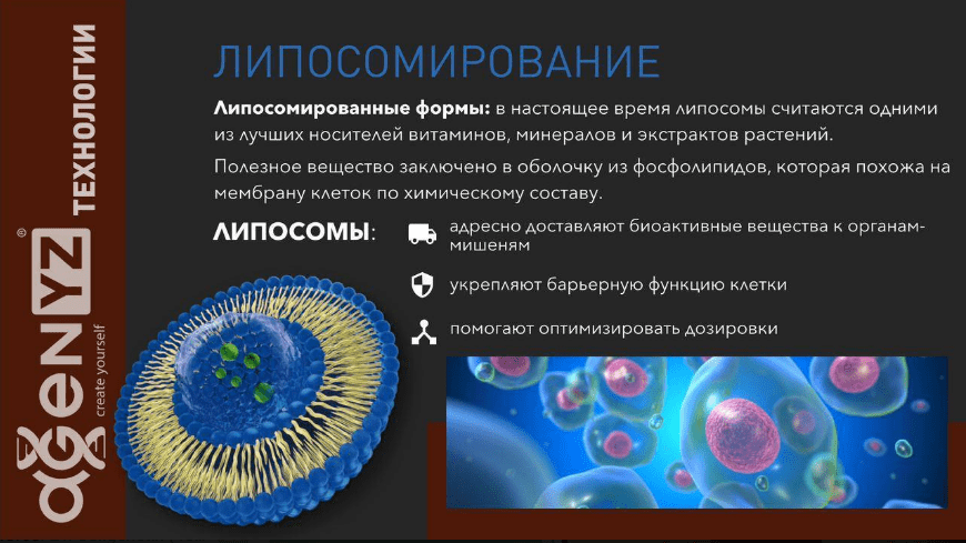 Адженис: контроль на каждом этапе