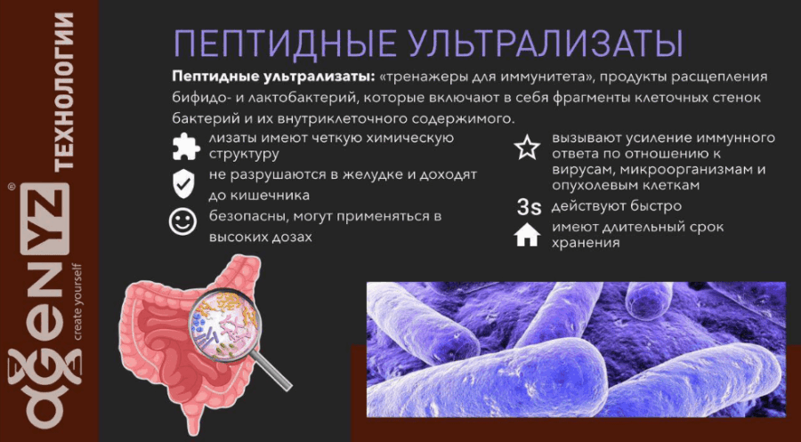 Адженис: контроль на каждом этапе